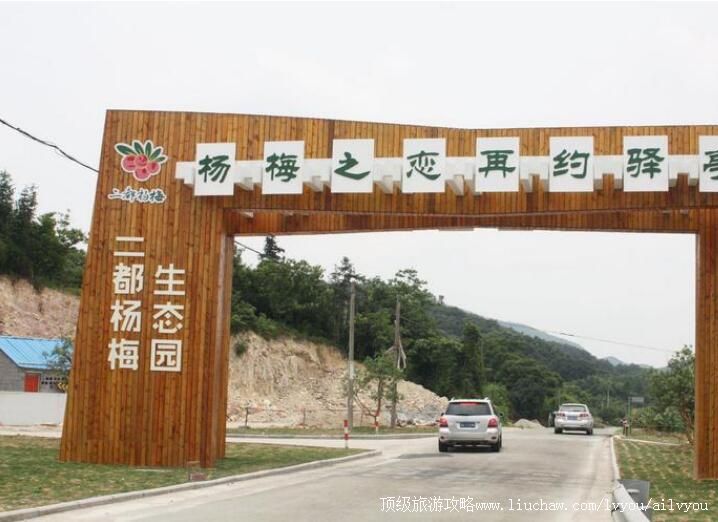 3A上虞二都杨梅生态园旅游攻略