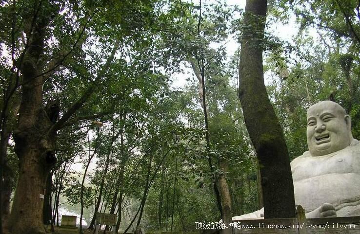 金华大佛寺旅游攻略