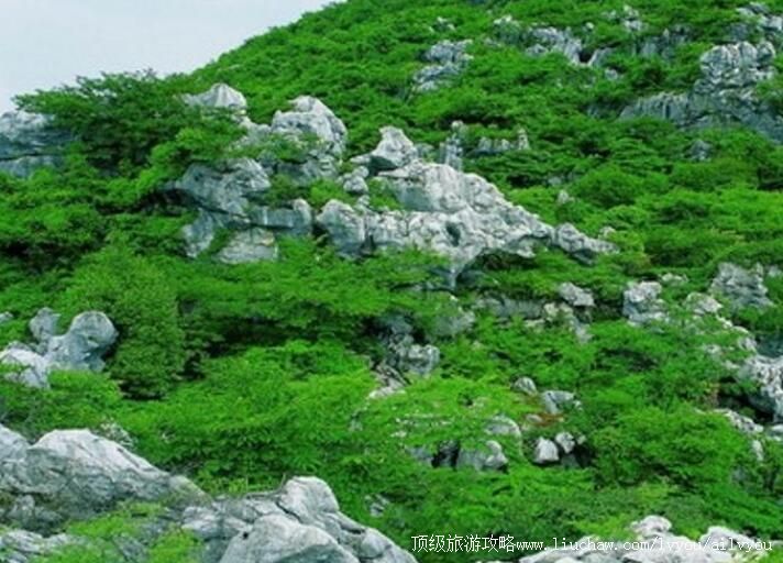 4A常山三衢石林旅游攻略