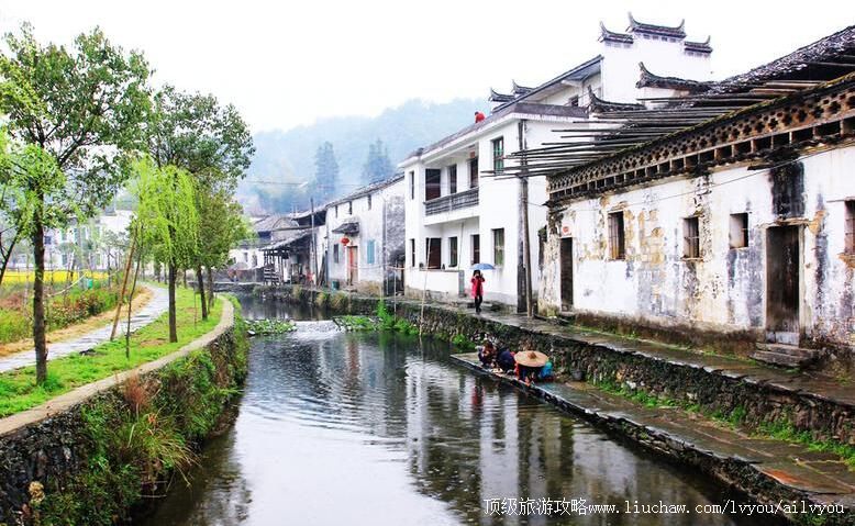 江西婺源长寿古里洪村旅游攻略