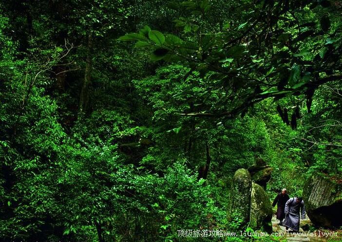 2A江西宜丰洞山风景名胜区旅游攻略