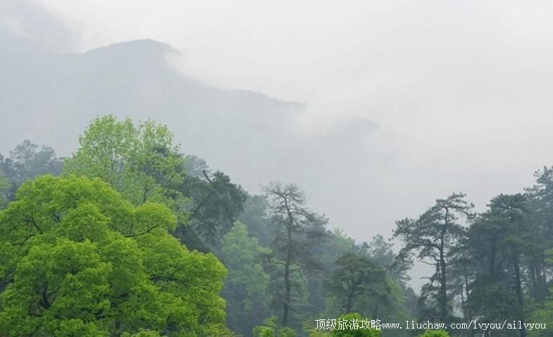 4A��������ɽ���ι���