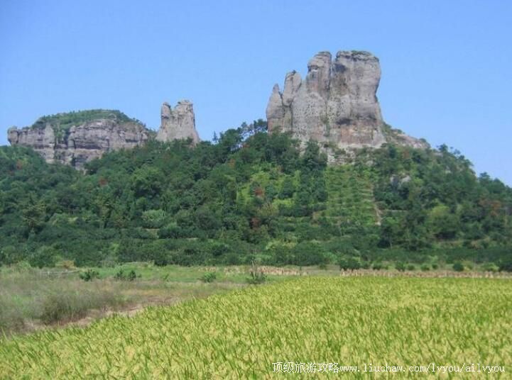 ̨����侷羰��ʤ�����ι���