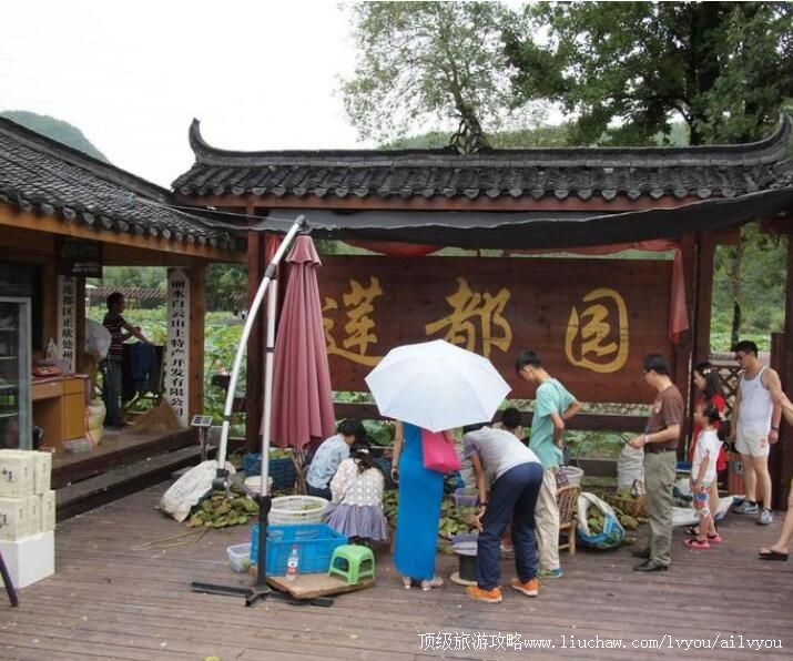 丽水处州白莲养生园旅游攻略