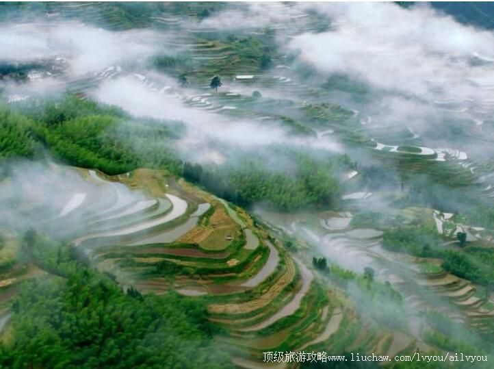 4A浙南箬寮原始林旅游攻略