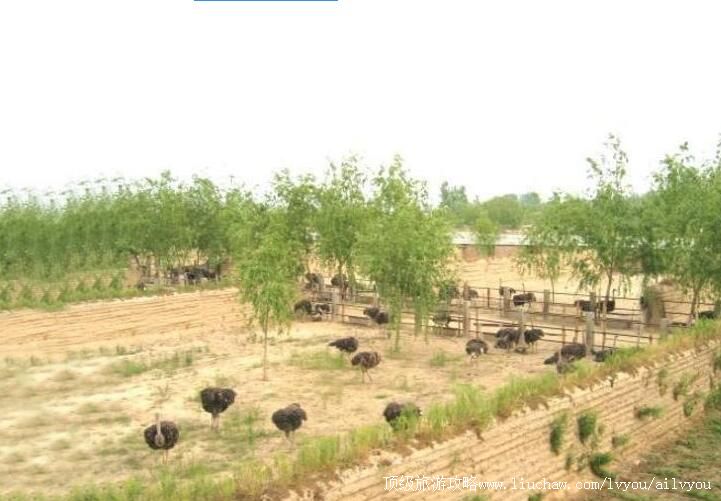 3A����������������̬԰���ι���