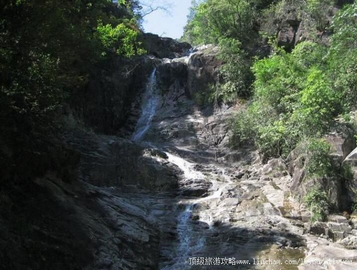 4A庆元县百山祖国家级自然公园旅游攻略