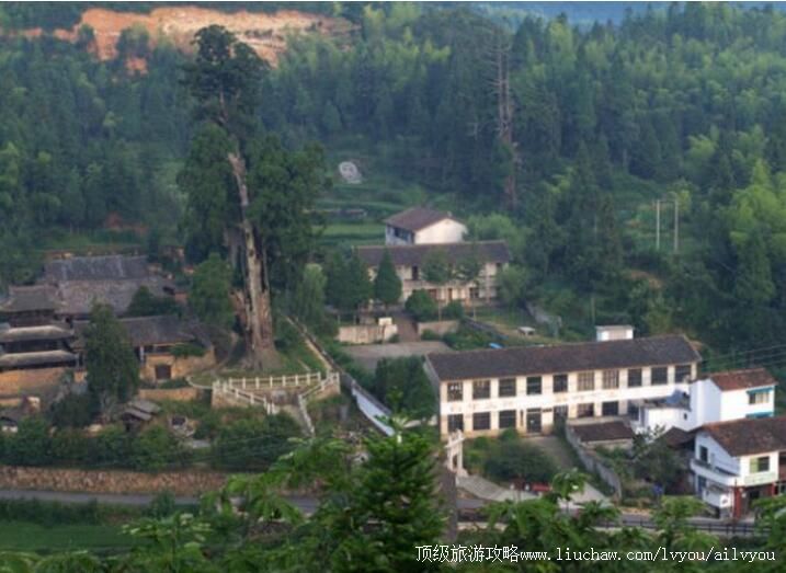 4A丽水云中大漈景区旅游攻略