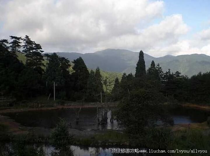 2A景宁草鱼塘森林公园旅游攻略