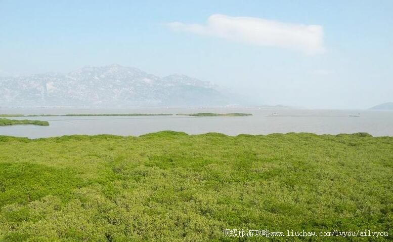 福建漳江口红树林国家级自然保护区旅游攻略