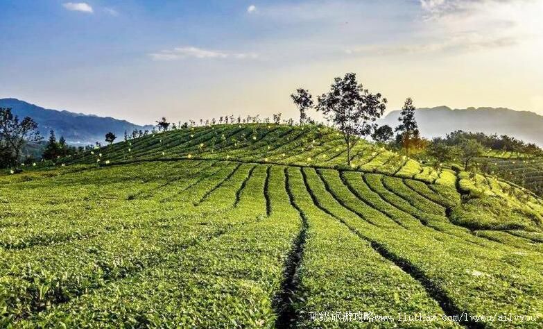 4A�����հ����Ļ���̬���ξ������ι���