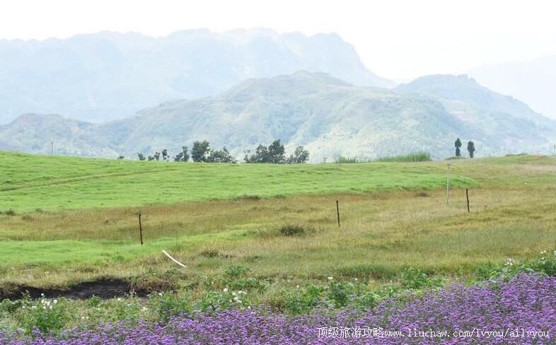 4A����ǭ���������ʷ���ƺ�������ι���