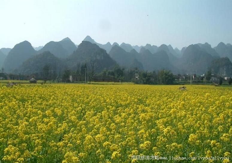 4A����������������ι���