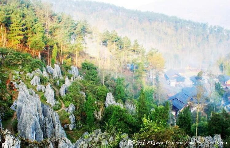 4A����ͭ��˼����Ȫʯ�־������ι���