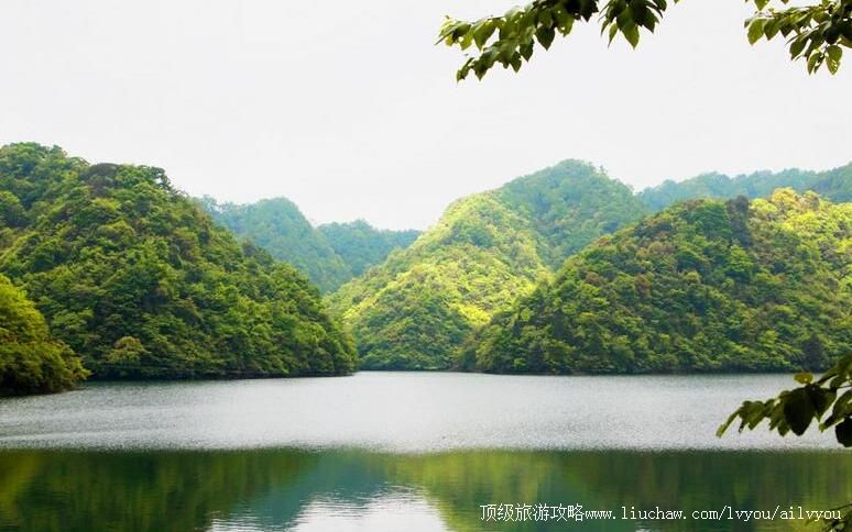 ������������ˮ���Ҽ���Ȼ���������ι���