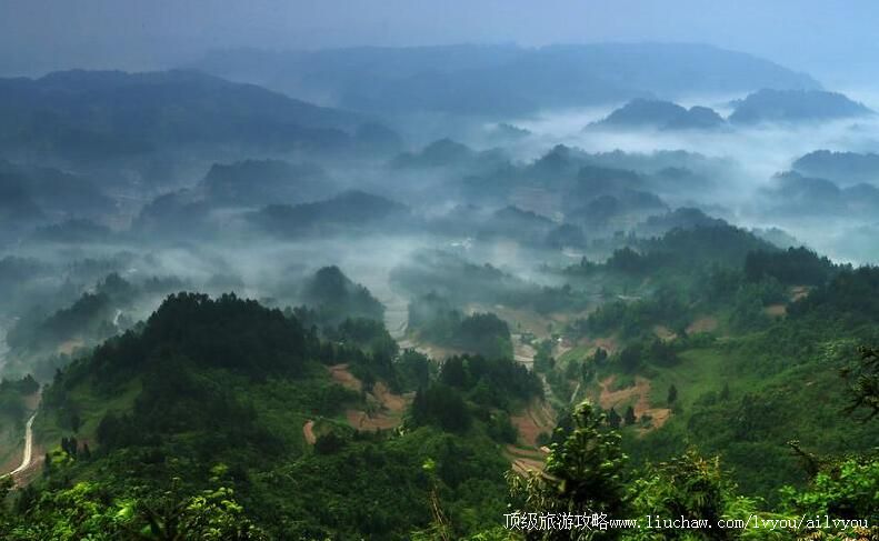 ����ϰˮ����ɭ�ֹ�԰���ι���