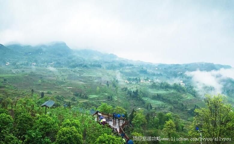 3A���������ɾ������ι���