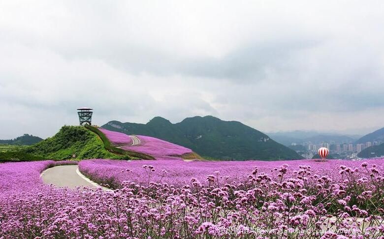 4A����ͩ��ɼƺ���ξ������ι���