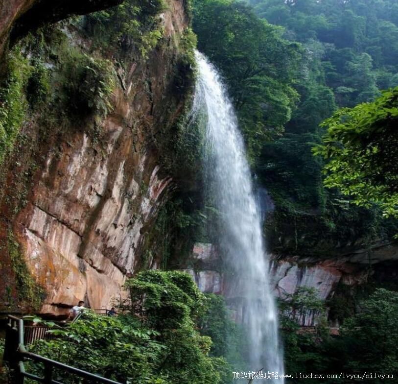 4A贵州燕子岩国家森林公园旅游攻略
