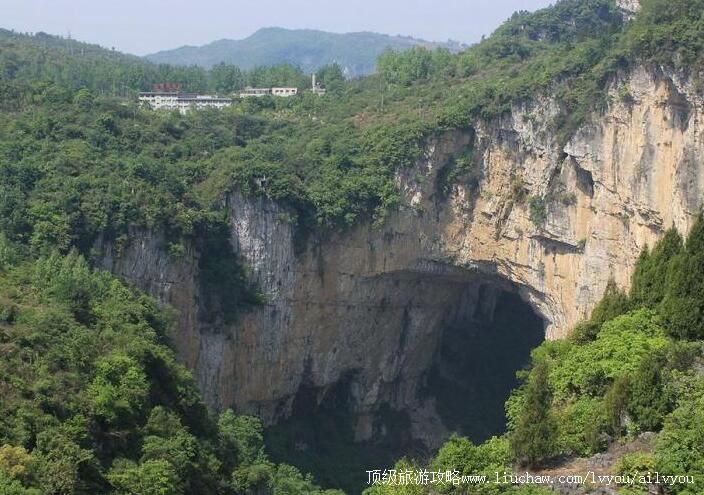 ����֯���Ͽ�����ι���