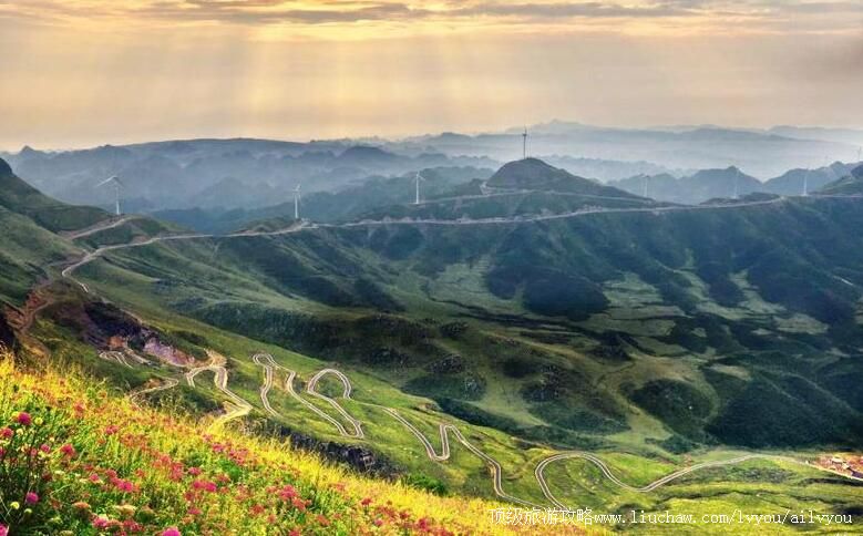 4A���ݺ��°����������²�ƺ���ι���