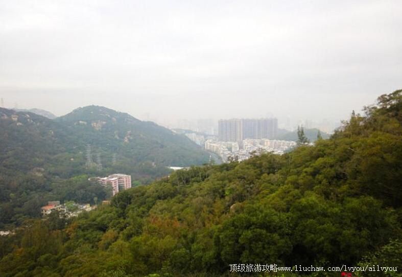 �������Ŷ�ƺɽ��԰���ι���