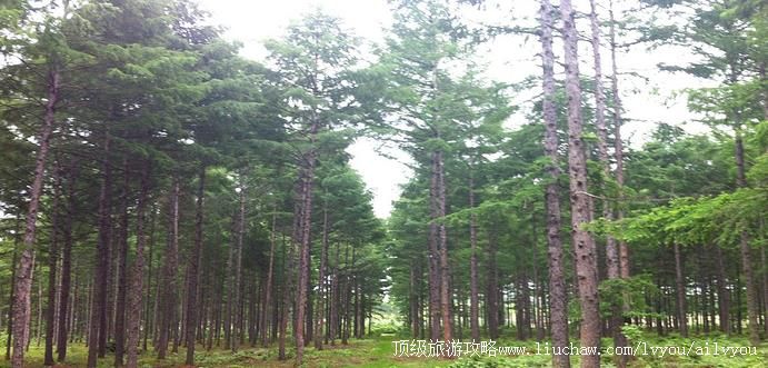 ������ ��̨��  �������棺1��