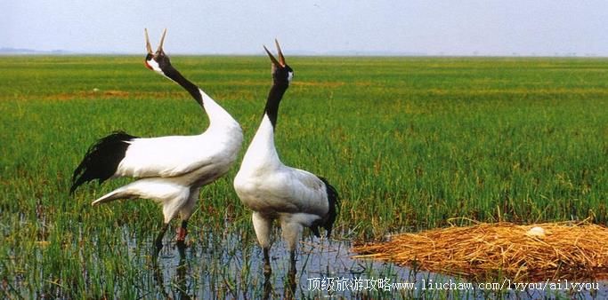 ������ ������� �������棺1��