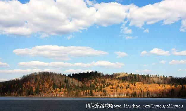 ������ ���� �������棺1��