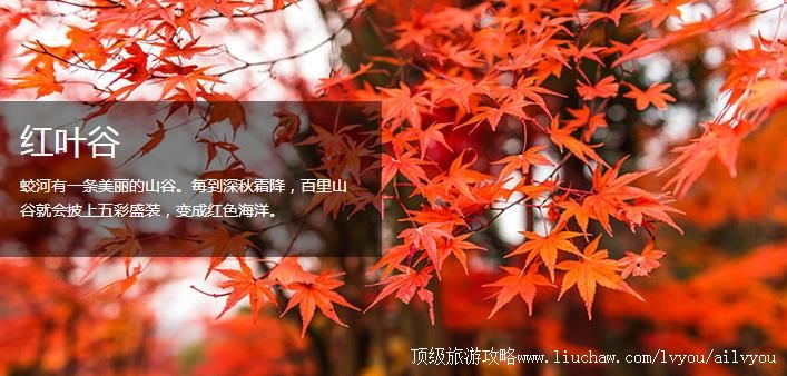 吉林 吉林市 建议游玩:2天