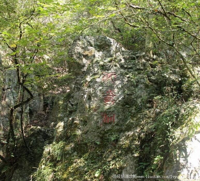 ����������춴�羰�����ι���