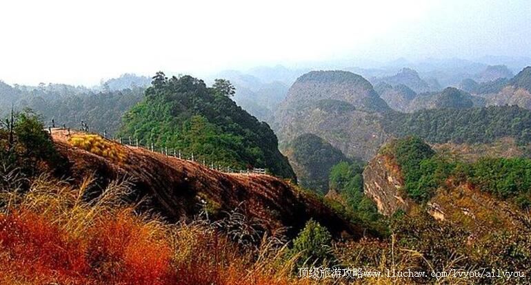 4A����̩��״Ԫ�����ι���