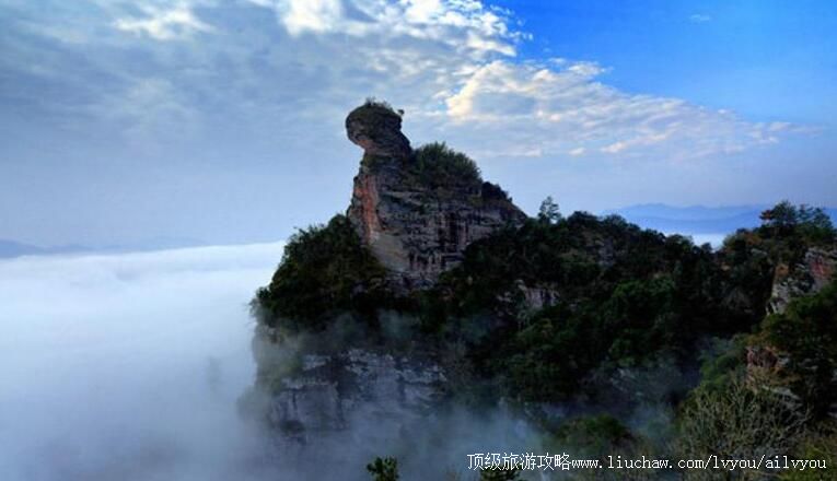 4A福建猫儿山森林公园旅游攻略