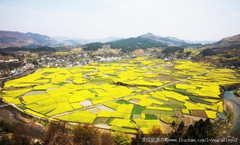 ���ݿ���ʮ�ﻭ�����ι���