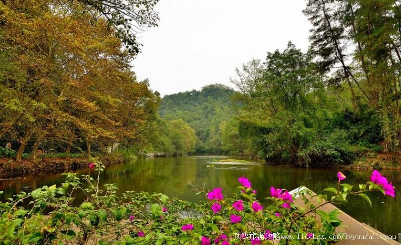 4A���ݹ�������������ʪ�ع�԰���ι���