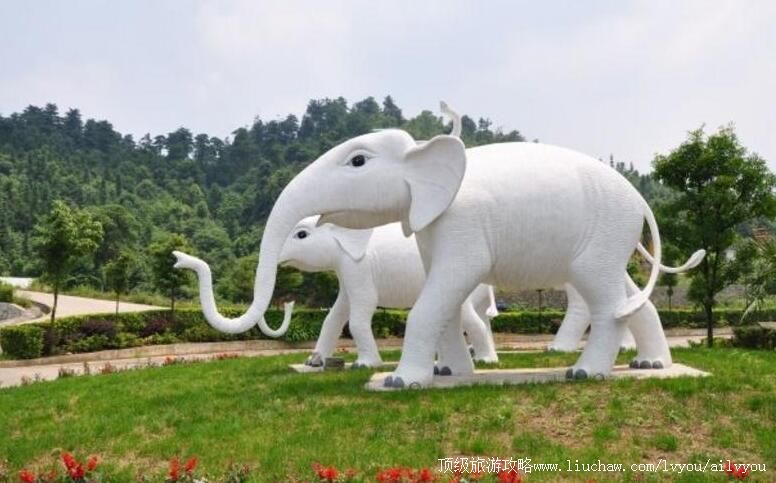 4A���ݹ���ɭ��Ұ������԰���ι���