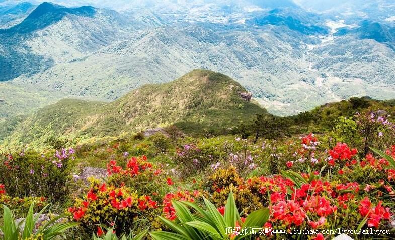4A福建泉州戴云山旅游攻略