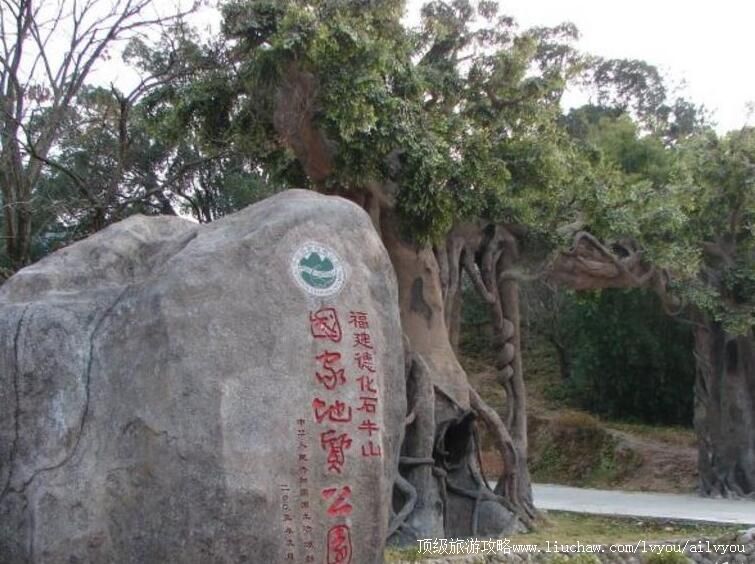 4A福建德化石牛山旅游攻略