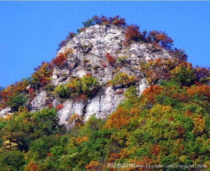 4A河南洛阳栾川养子沟旅游休闲度假区旅游攻略