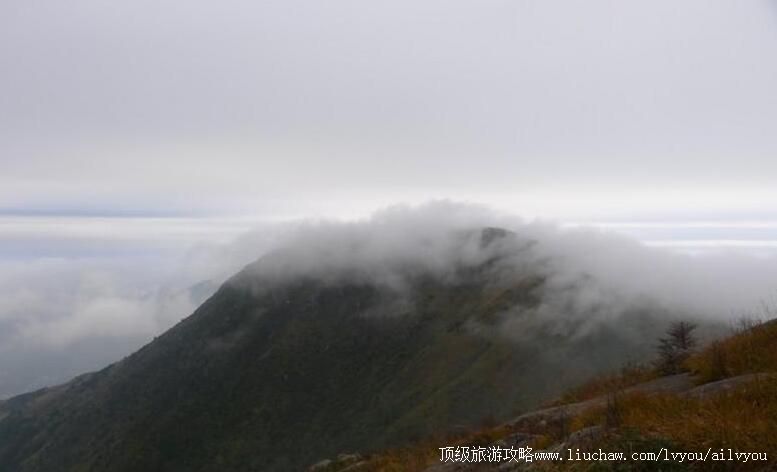 3A������ʨɽ�羰�����ι���