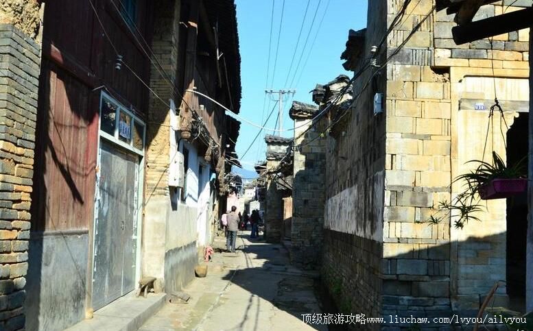 ��������ɽ���������ι���