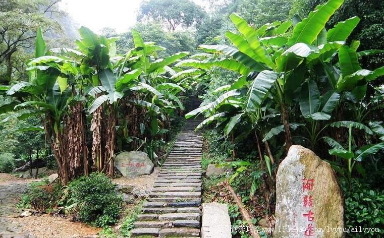 3A福建南平三千八百坎旅游攻略