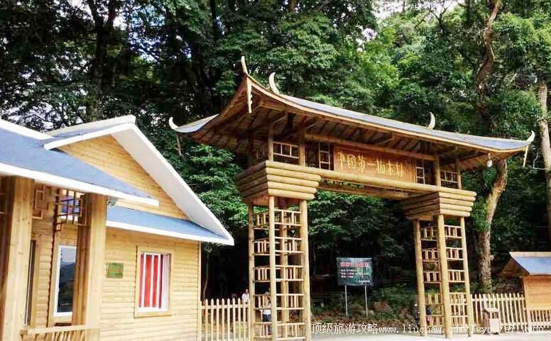 3A福建凤头楠木林景区旅游攻略