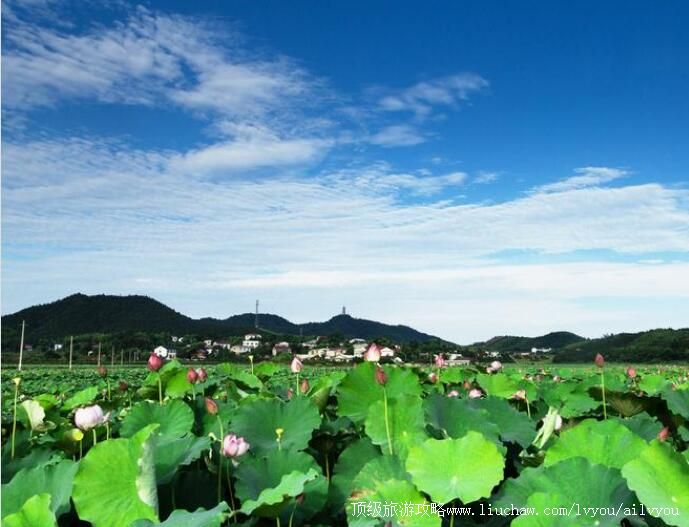 ����������羰�����ι���