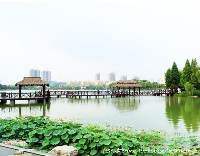 ���ݽ������羰�����ι���