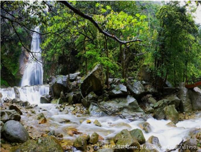 4A������ũ�ȹ���ɭ�ֹ�԰���ι���