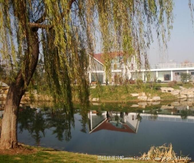 3A徐州滨湖公园旅游攻略