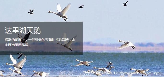 内蒙古 赤峰 建议游玩:3天