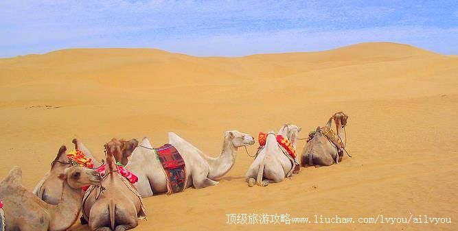 内蒙古 鄂尔多斯 建议游玩:1天