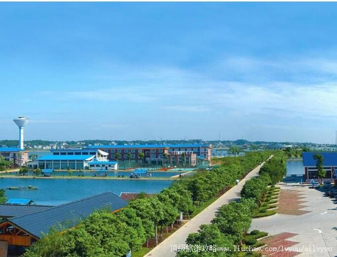 4A��ɳǧ������̬���������ι���